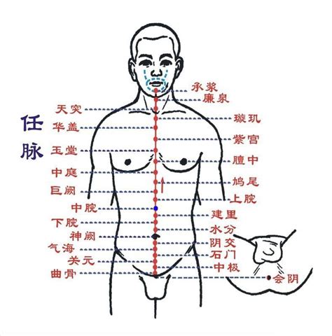 中主穴|中脘